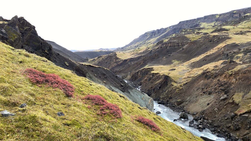 Gorgeous green moss on the hike to Haifoss.