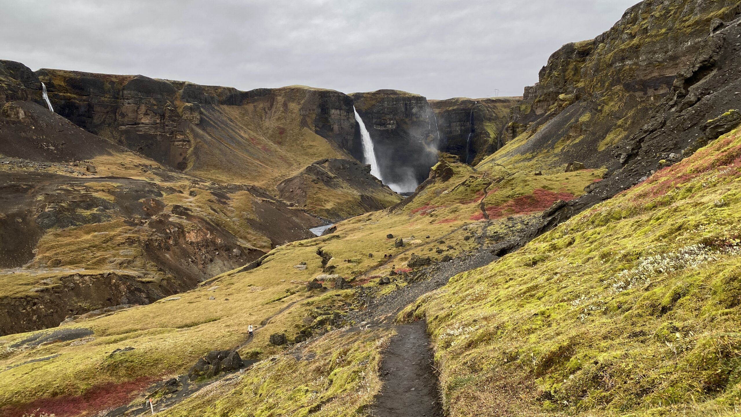 Haifoss Waterfall in Iceland with red and green flora