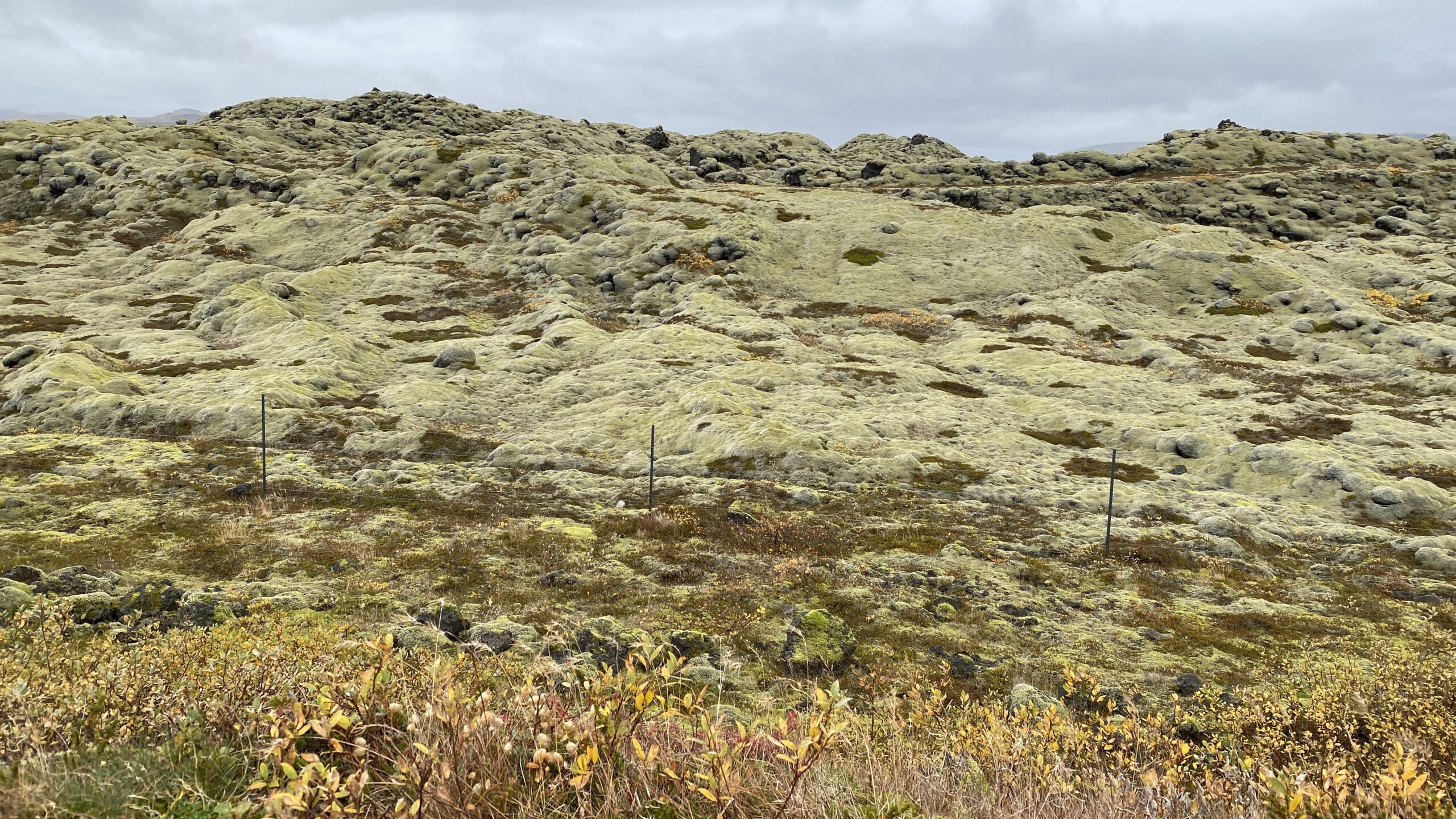 Moss covered lava fields in Iceland to bring attention to the beauty of the natural landscape.
